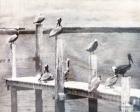 Birds on a Pier