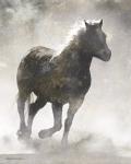 Textured Dark Running Horse