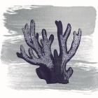 Brushed Midnight Blue Elkhorn Coral