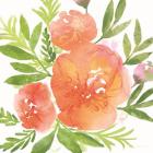 Peachy Floral I