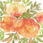 Peachy Floral III