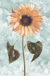 Vintage Sunflower