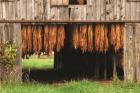 Tobacco Barn