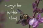 Always Bee Bumble & Kind