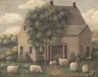 Sheep and House