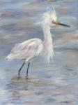 Egret