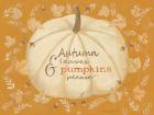 Autumn Leaves & Pumpkin