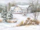 Winter Hay