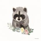 Floral Raccoon