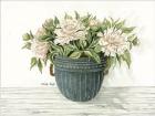 Galvanized Pot Peonies