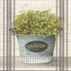 Galvanized Jardin