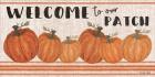 Welcome to Our Pumpkin Patch