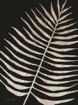 Palm Frond Wood Grain I