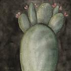 Big Blooming Cactus I