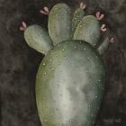 Big Blooming Cactus II
