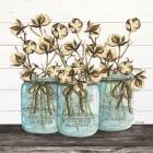 Blue Jars - Cotton Stems