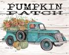 Pumpkin Patch Truck