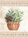 Southwest Terracotta Succulents I