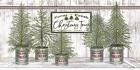 Galvanized Pots White Christmas Trees II