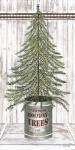 Galvanized Pot Fir