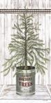 Galvanized Pot Pine