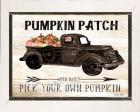 Pumpkin Patch Black Truck