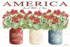 America Glass Jars