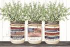 Patriotic Glass Jar Trio I