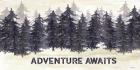 Navy Trees Adventure