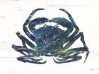 Blue Coastal Crab