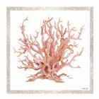 Pink Coastal Coral I