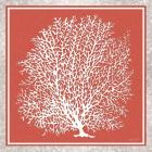 Coastal Coral on Red I