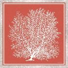 Coastal Coral on Red II