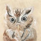 Willow the Owl