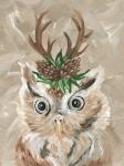 Christmas Owl