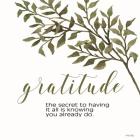 Gratitude