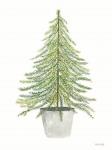 Fir Tree in Pot II