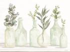 Bottles and Greenery I