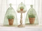 Garden Cloche Trio I