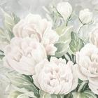 Peaceful Peonies