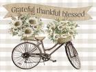 Grateful, Thankful, Blessed Bicycle