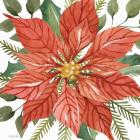 Red Poinsettia