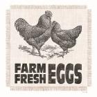 Farm Fresh Eggs