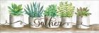 Gather Succulent Pots