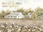 Beautifully Simple Cotton Farm