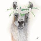 Floral Llama