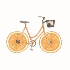 Orange Bike