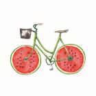 Watermelon Bike