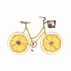 Lemon Bike