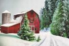 Winter Pines Red Barn